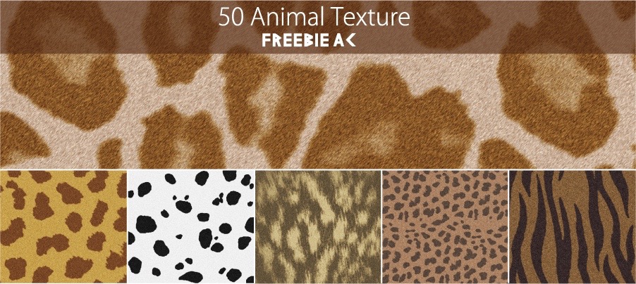 アニマルテクスチャ