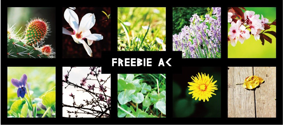 花/植物照片紋理