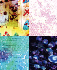 Finger character collection alphanumeric Edition