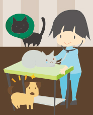 動物病院・トリマーイラスト素材