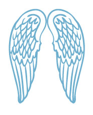 날개의 실루엣 소재