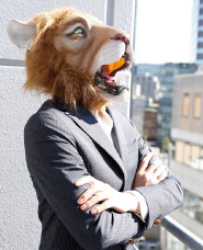 ライオン社長とその仲間たち写真素材