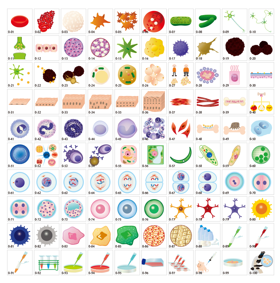 Tài liệu minh họa của các tế bào