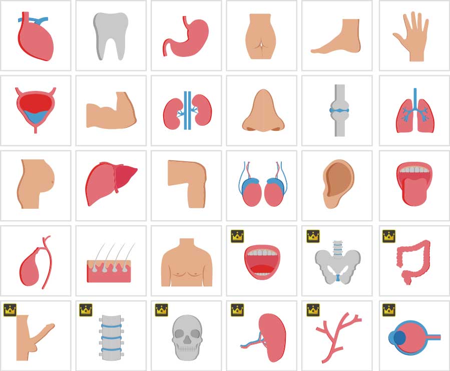 人体パーツアイコン