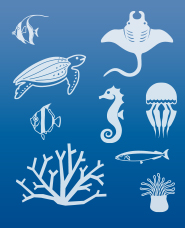 바다 생물 실루엣