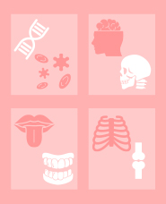 human body silhouette