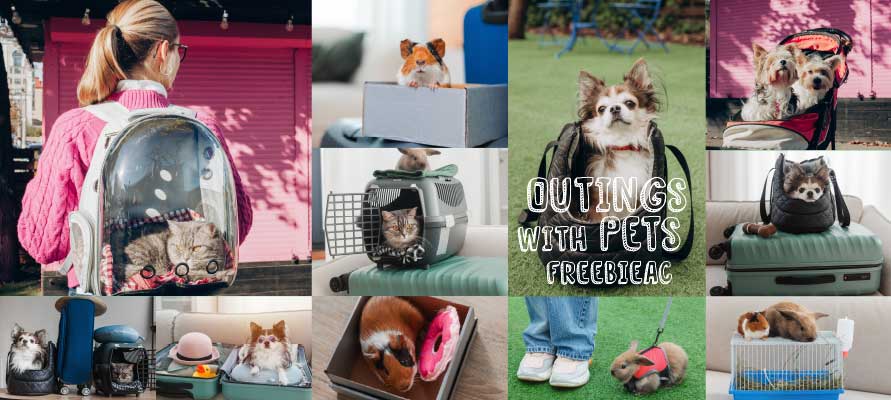 ペットとおでかけの写真