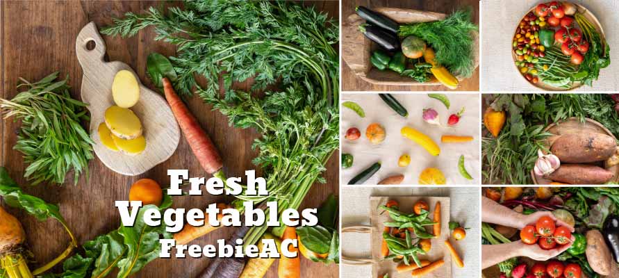 新鮮な野菜の写真